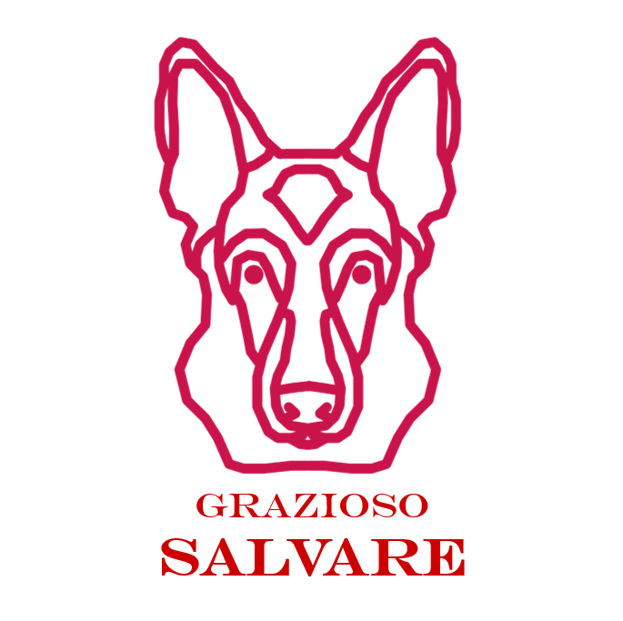 CS-340 dashboard for Grazioso Salvare — MongoDB + Python (Dash)