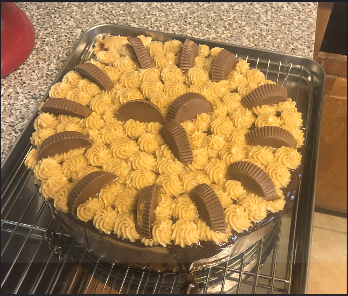 Chocolate–peanut butter cheesecake with peanut butter cups